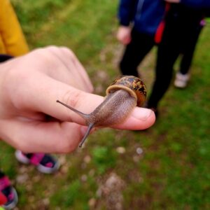 Braddock Primary Pupil with snail Braddock Primary Pupil with snail