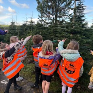St Dominic Primary Pupils choosing Christmas tree