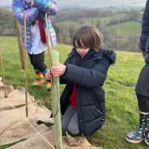 St Dominic Primary Pupils planting trees