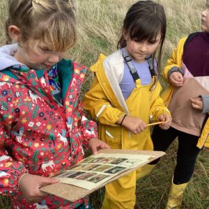 St Germans Primary Pupils looking for animals St Germans Primary Pupils looking for animals