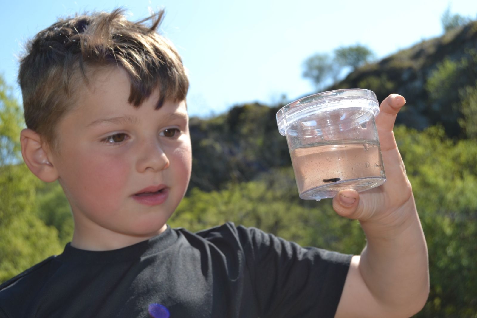 St Mellion Primary Pupil found a tadpole