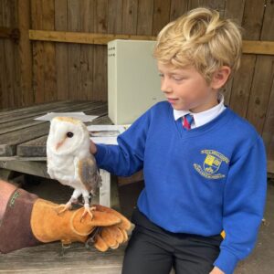 St Mellion Primary Pupil with Barn owl
