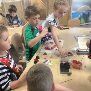 St Mellion Primary Pupils making fruit kebabs