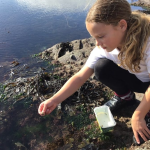 St Nicolas Primary School Pupil rockpooling St Nicolas Primary School Pupil rockpooling
