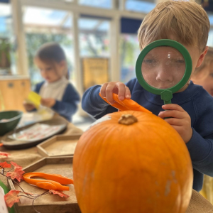 St Nicolas Primary School Pupil studying pumpkin St Nicolas Primary School Pupil studying pumpkin