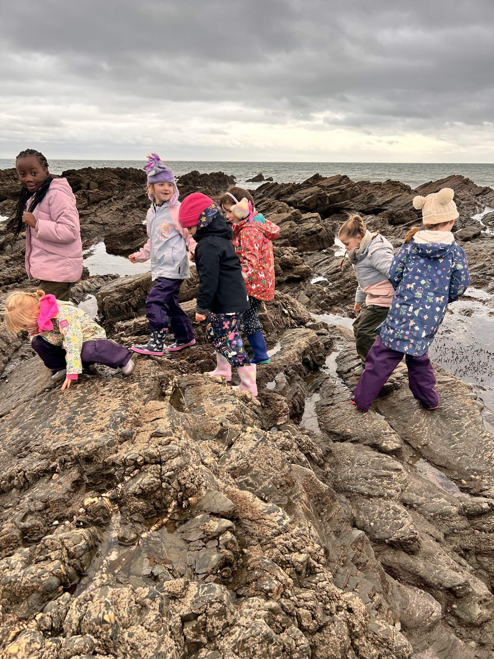 St Petrocs Primary School Pupils rockpooling