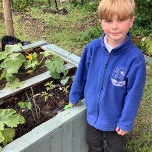 St Tudy Primary School Pupil gardening