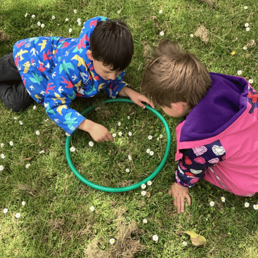 Cygnets Nursery St Germans Pupils looking at daisies
