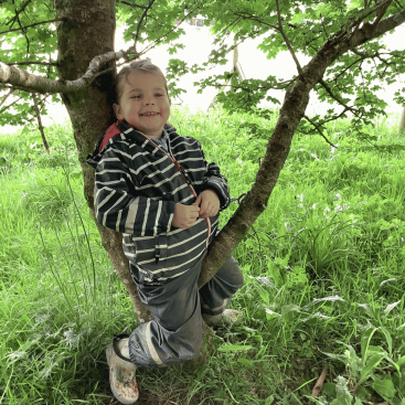 Burrows Nursery child climbing tree
