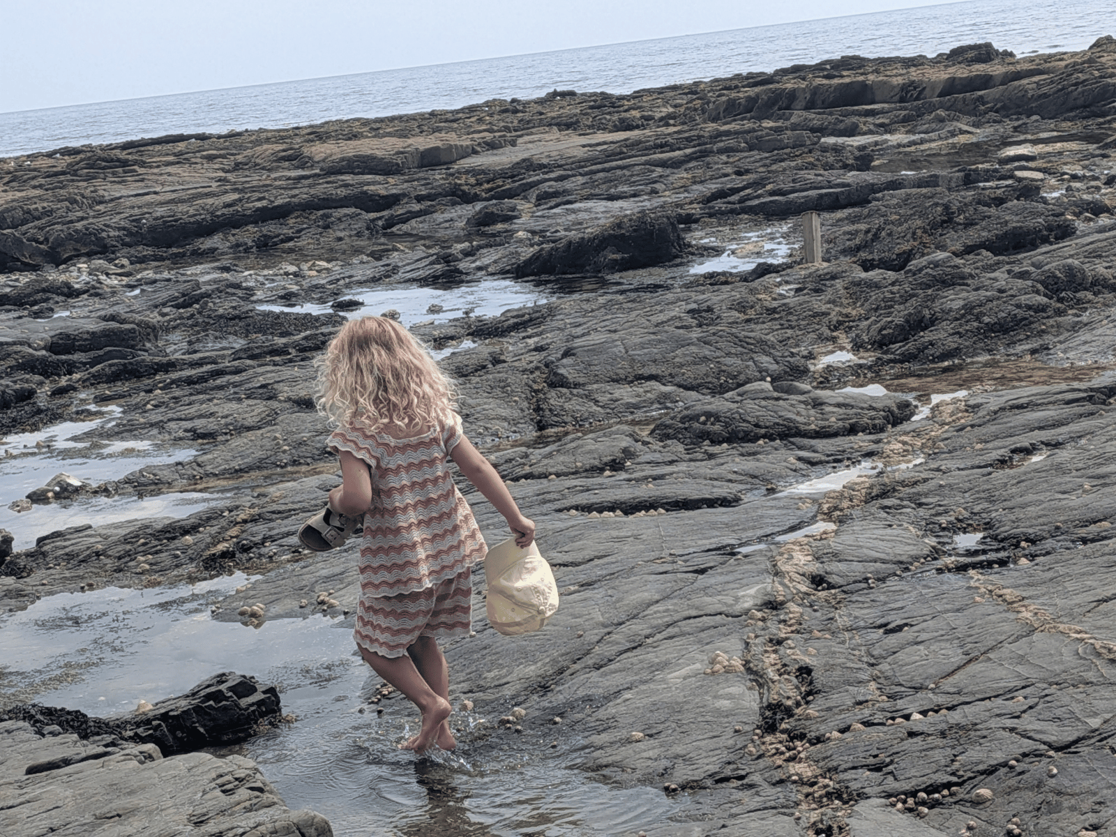 St Nicolas Preschool pupil rockpooling